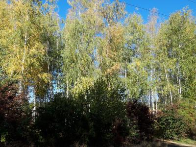 Прикрепленное изображение: 20191001_154955.jpg